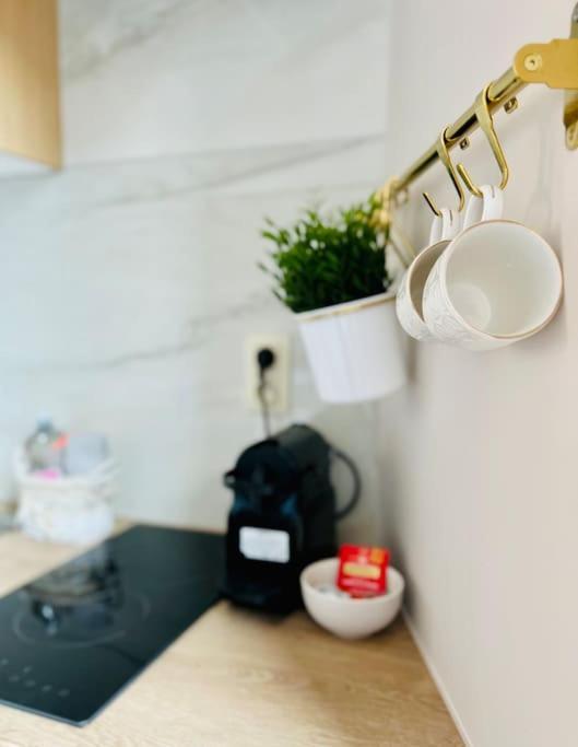 Charmant Petit Appartement. Luik Buitenkant foto