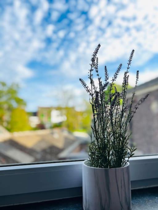 Charmant Petit Appartement. Luik Buitenkant foto