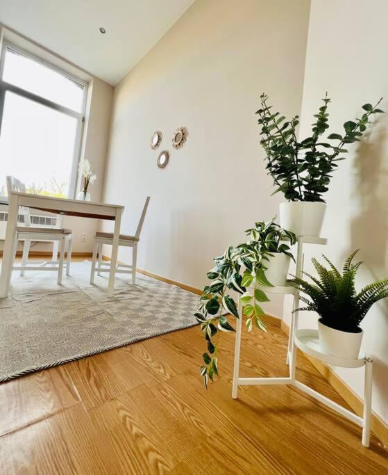 Charmant Petit Appartement. Luik Buitenkant foto