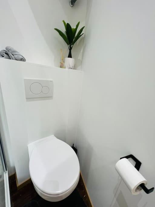 Charmant Petit Appartement. Luik Buitenkant foto
